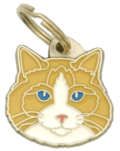 Ragdoll cream point bicolor <br> (placa de identificação para gatos, Gravado incluído)